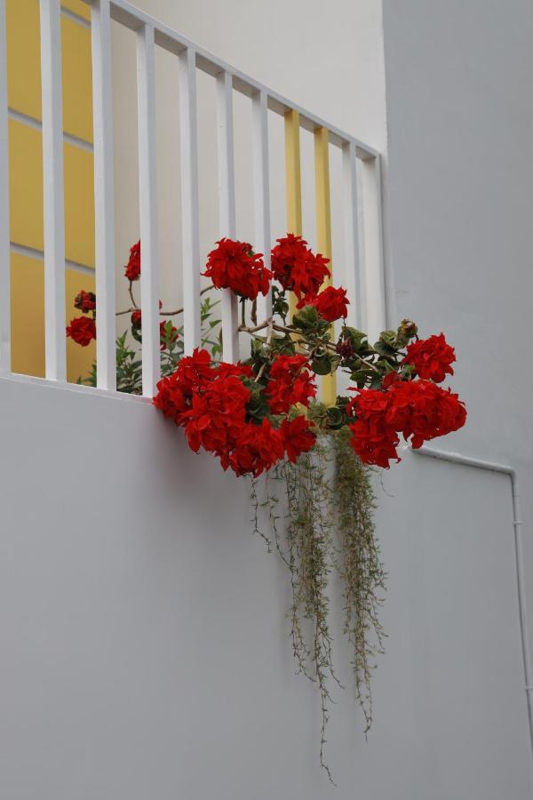Munnar Bnb Bed & Breakfast Exterior foto